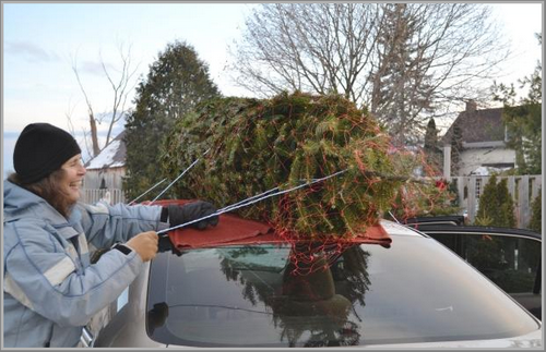 We've made it a tradition...